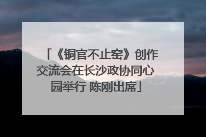 《铜官不止窑》创作交流会在长沙政协同心园举行 陈刚出席