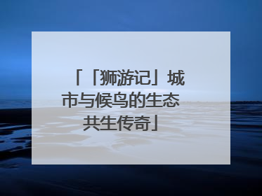 「狮游记」城市与候鸟的生态共生传奇