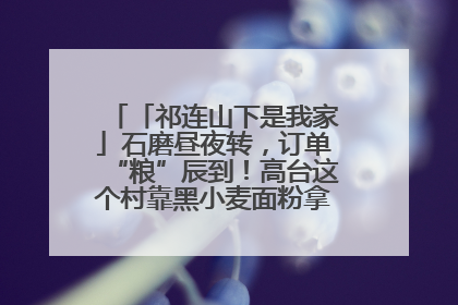 「祁连山下是我家」石磨昼夜转，订单“粮”辰到！高台这个村靠黑小麦面粉拿下成立来最大订单
