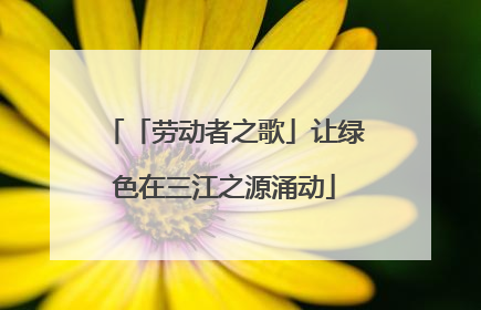 「劳动者之歌」让绿色在三江之源涌动