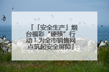 「安全生产」烟台福彩“硬核”行动！为全市销售网点筑起安全屏障