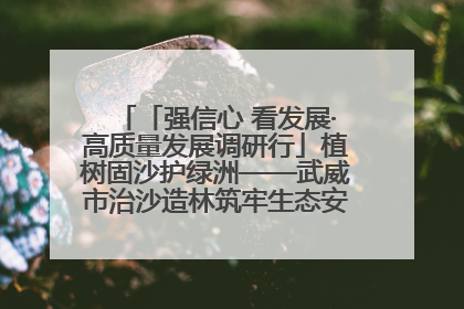 「强信心 看发展·高质量发展调研行」植树固沙护绿洲——武威市治沙造林筑牢生态安全屏障见闻