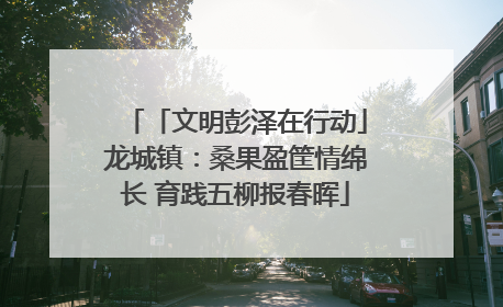 「文明彭泽在行动」龙城镇：桑果盈筐情绵长 育践五柳报春晖