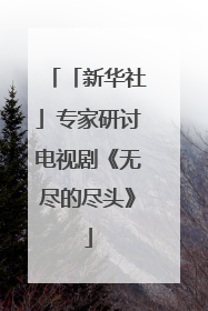 「新华社」专家研讨电视剧《无尽的尽头》
