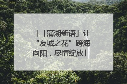 「蒲湖新语」让“友城之花”跨海向阳，尽情绽放