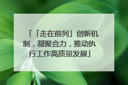 「走在前列」创新机制，凝聚合力，推动执行工作高质量发展