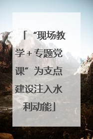 “现场教学＋专题党课”为支点建设注入水利动能