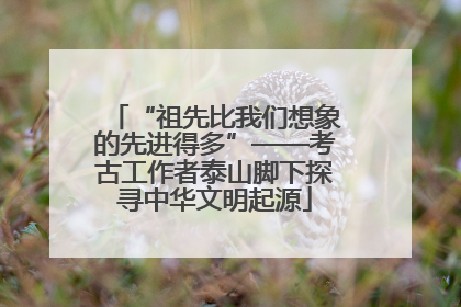 “祖先比我们想象的先进得多”——考古工作者泰山脚下探寻中华文明起源