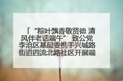 “粽叶飘香敬贤德 清风伴老话端午” 致公党李沧区基层委携手兴城路街道四流北路社区开展端午节主题活动