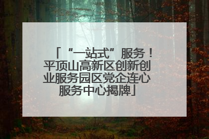 “一站式”服务！平顶山高新区创新创业服务园区党企连心服务中心揭牌