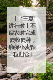 “三夏”进行时丨不误农时完成夏收夏种，确保小麦颗粒归仓