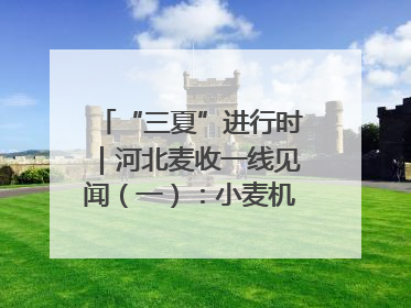 “三夏”进行时｜河北麦收一线见闻（一）：小麦机收减损“竞技” 农机高手麦田“过招”