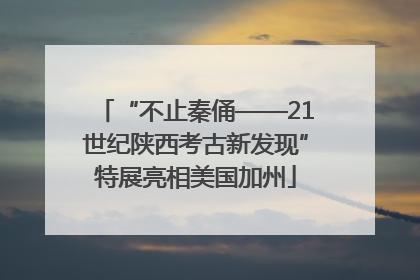 “不止秦俑——21世纪陕西考古新发现”特展亮相美国加州