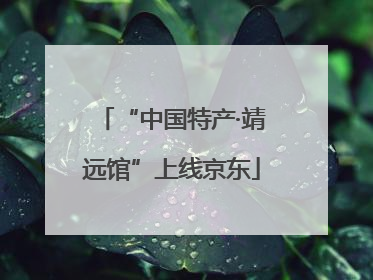 “中国特产·靖远馆”上线京东