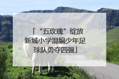 “五玫瑰”绽放 新城小学混编少年足球队勇夺四强