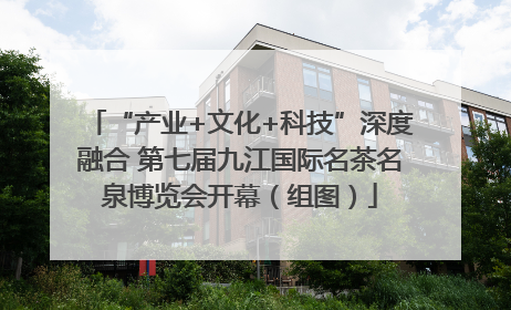 “产业+文化+科技”深度融合 第七届九江国际名茶名泉博览会开幕（组图）