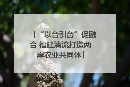 “以台引台”促融合 福建清流打造两岸农业共同体