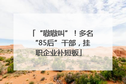 “嗷嗷叫”！多名“85后”干部，挂职企业补短板