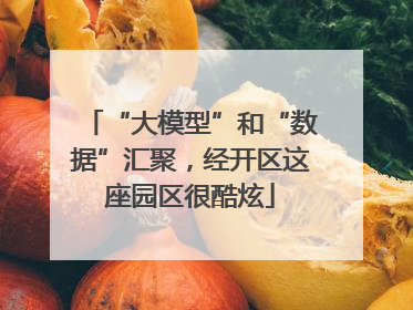 “大模型”和“数据”汇聚，经开区这座园区很酷炫