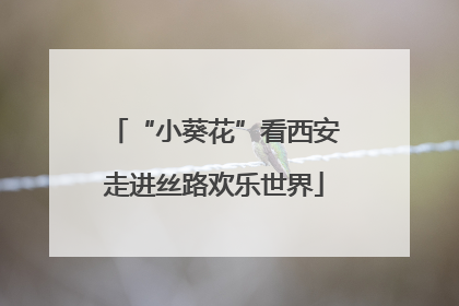 “小葵花”看西安走进丝路欢乐世界