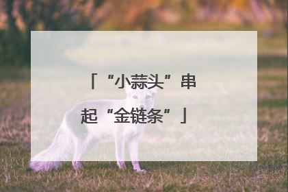 “小蒜头”串起“金链条”