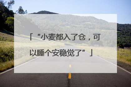 “小麦都入了仓，可以睡个安稳觉了”
