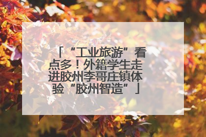 “工业旅游”看点多！外籍学生走进胶州李哥庄镇体验“胶州智造”