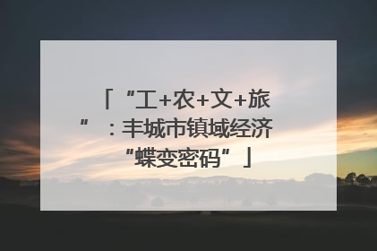 “工+农+文+旅”：丰城市镇域经济“蝶变密码”