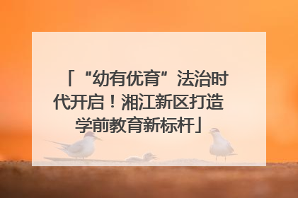 “幼有优育”法治时代开启！湘江新区打造学前教育新标杆