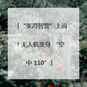“张湾智警”上岗！无人机变身 “空中 110”