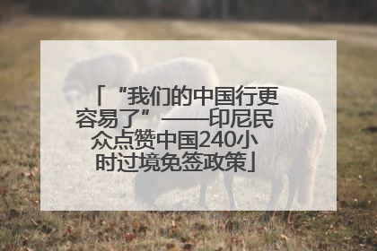 “我们的中国行更容易了”——印尼民众点赞中国240小时过境免签政策