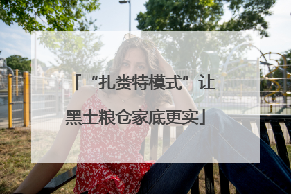 “扎赉特模式”让黑土粮仓家底更实