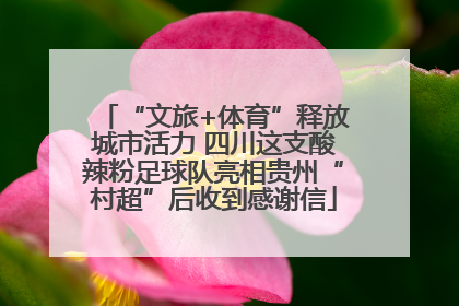 “文旅+体育”释放城市活力 四川这支酸辣粉足球队亮相贵州“村超”后收到感谢信