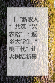 “新农人”共筑“兴农路”：返乡大学生“桃三代”让老树结新果