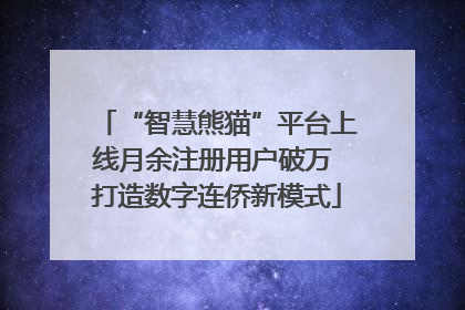 “智慧熊猫”平台上线月余注册用户破万 打造数字连侨新模式