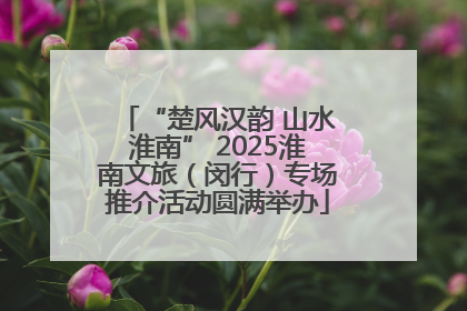 “楚风汉韵 山水淮南” 2025淮南文旅（闵行）专场推介活动圆满举办