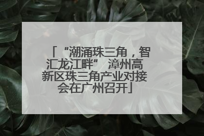 “潮涌珠三角，智汇龙江畔” 漳州高新区珠三角产业对接会在广州召开