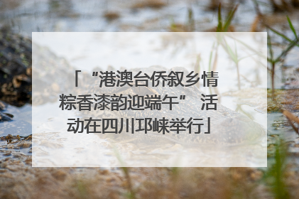 “港澳台侨叙乡情 粽香漆韵迎端午” 活动在四川邛崃举行