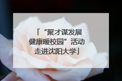 “聚才谋发展 健康暖校园”活动走进沈阳大学