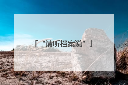 “请听档案说”