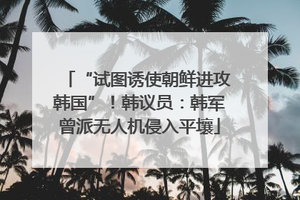 “试图诱使朝鲜进攻韩国”！韩议员：韩军曾派无人机侵入平壤