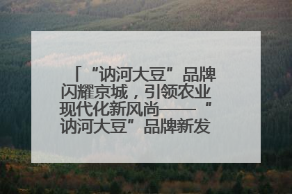 “讷河大豆”品牌闪耀京城，引领农业现代化新风尚——“讷河大豆”品牌新发地推介会圆满落幕