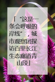“这是一条会呼吸的岸线”，城市观察团探访百里长江生态廊道青山段
