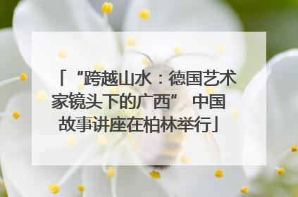 “跨越山水：德国艺术家镜头下的广西” 中国故事讲座在柏林举行