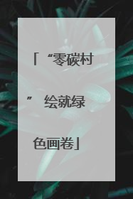 “零碳村” 绘就绿色画卷