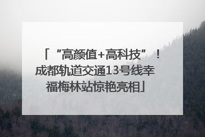 “高颜值+高科技”！成都轨道交通13号线幸福梅林站惊艳亮相
