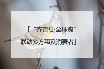 “齐鲁号·全球购”联动多方惠及消费者