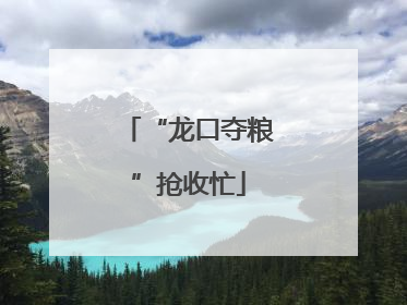 “龙口夺粮”抢收忙