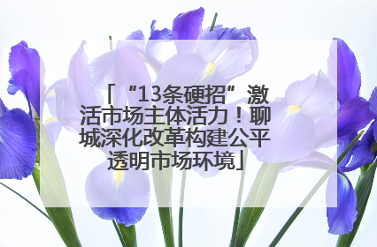 “13条硬招”激活市场主体活力！聊城深化改革构建公平透明市场环境