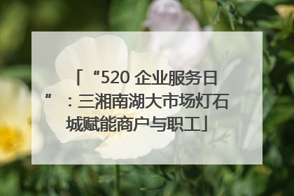 “520 企业服务日”：三湘南湖大市场灯石城赋能商户与职工